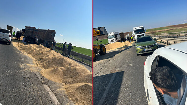 Viranşehir’de seyir halindeki kamyonun kapağı açılınca buğdaylar yola döküldü