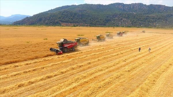 Tarım girdi fiyat endeksi yıllık yüzde 41,4 arttı