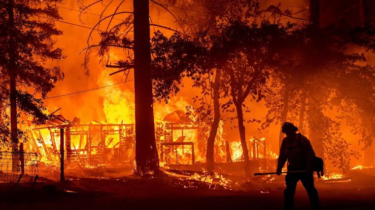 ABD: Teksas’da çıkan yangınlarda 400 bin hektarlık alan yandı