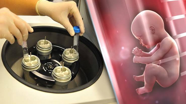 ABD: Eyalet mahkemesi dondurulmuş embriyoyu çocuk olarak tanımladı