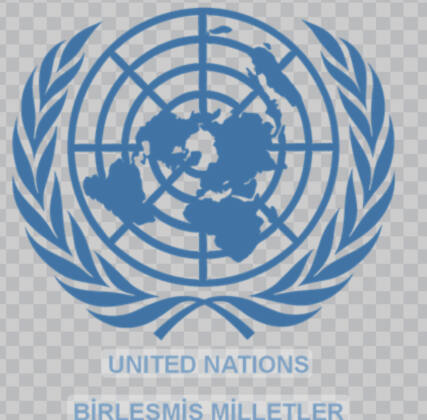 BM Güvenlik Konseyi Gazze’de ateşkes çağrısı yaptı