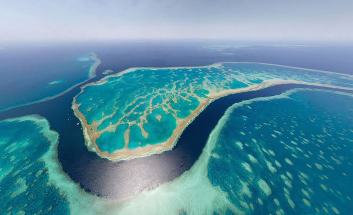 Avustralya çevre felâketi: Büyük Set Resifi ağarıyor
