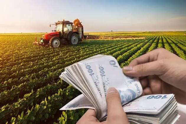 Tarım-ÜFE yıllık yüzde 58 arttı