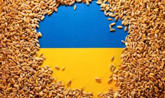 AB’de, Ukrayna’dan tarım ürünleri ithalatına sınırlama kararı