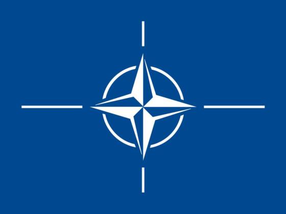 Genişleyen NATO: 75 yılda 12 üyeden 32 üyeye