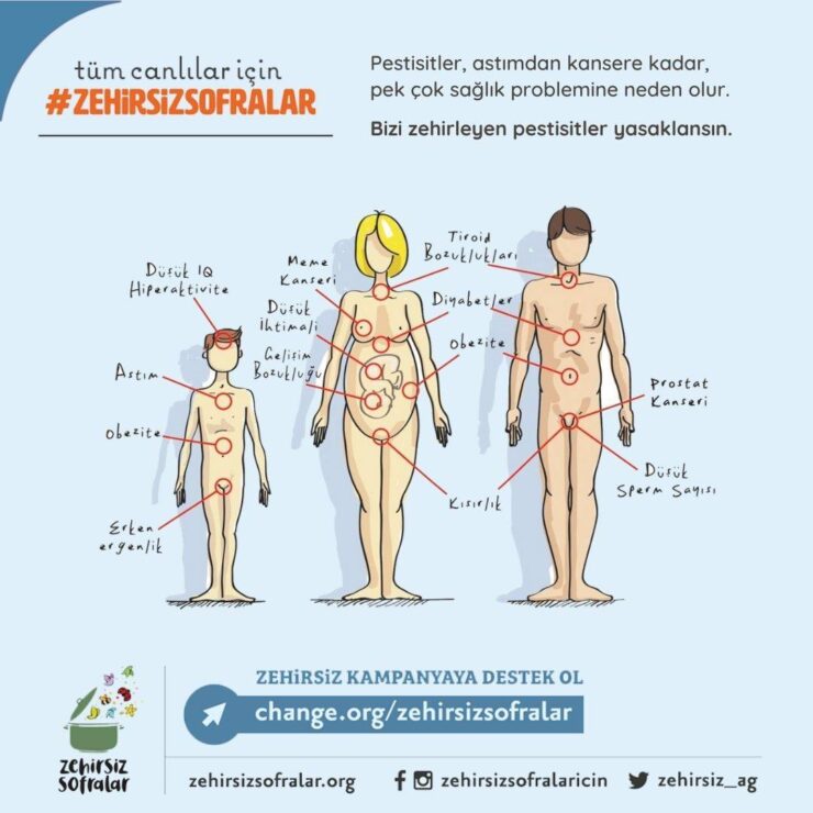 Pestisitlerde Güvenli Doz Algısı Yanıltıcı mı?