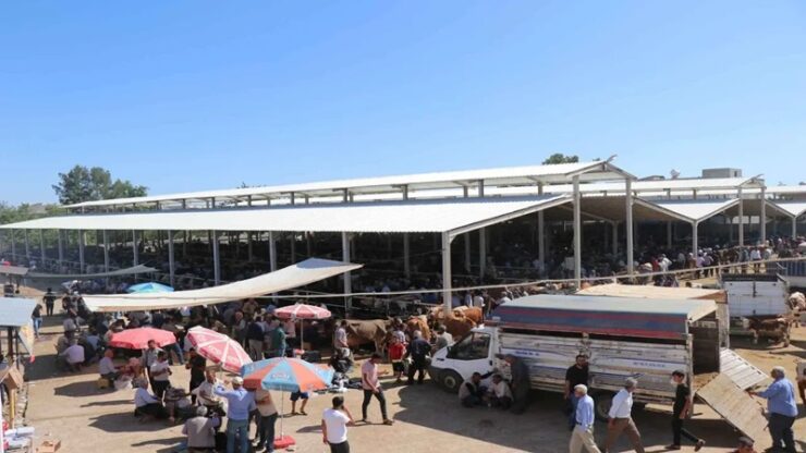 Şanlıurfa’da kapalı olan hayvan pazarı yeniden açılıyor